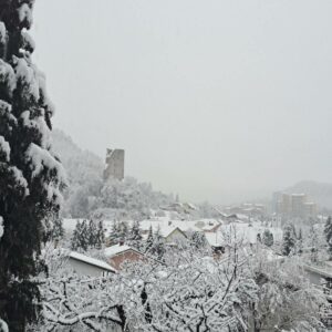 Kam ta teden v Šaleški dolini?