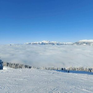 Kam ta teden v Šaleški dolini