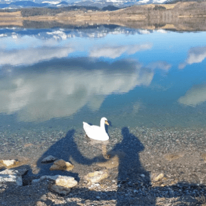 Kam ta teden v Šaleški dolini