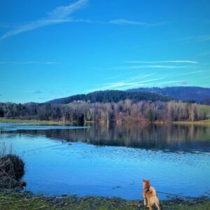 Kam ta teden v Šaleški dolini