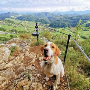 Ali ste vedeli...Gonžarjeva peč