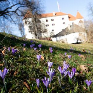 Poletni odpiralni čas Muzeja Velenje
