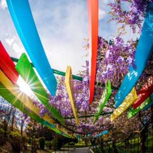 Kam ta teden v Šaleški dolini