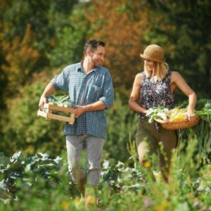 Kulinarični spletni seminar »NATURALWALKS«