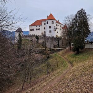 Kam ta teden v Šaleški dolini