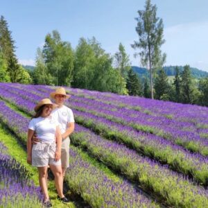 Ali ste vedeli...Blue hill