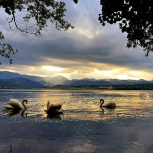 Kam ta teden v Šaleški dolini