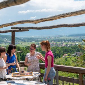 Wine day on the wine tourist trail