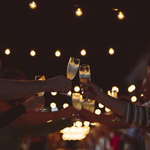 DOLGA MIZA - zgodba, na vilice navita je RAZPRODANA