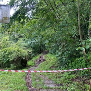 Zaprta gozdna pot na Velenjski grad