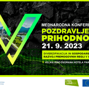 V Velenju na Mednarodni konferenci o diverzifikaciji gospodarstva