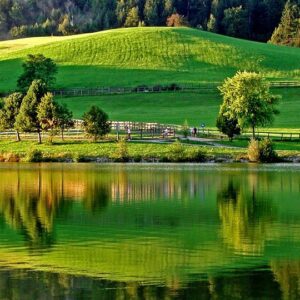 Anketa za prebivalce Šaleške doline