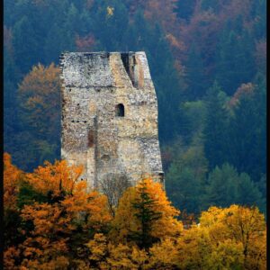 Kam ta teden v Šaleški dolini?