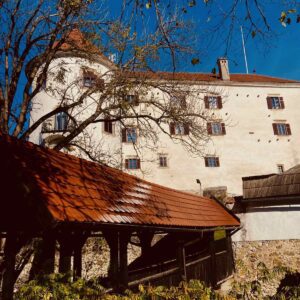 Kam ta teden v Šaleški dolini