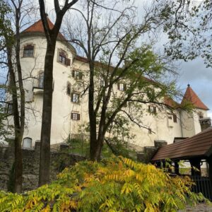 Zimski odpiralni čas Muzeja Velenje