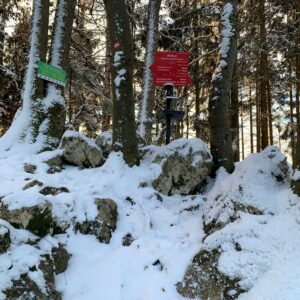 Aktivni namig: Pohod na Radojč