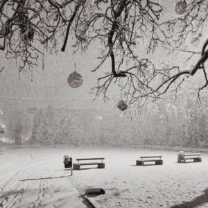 Aktualne novice iz sveta turizma Šaleške doline, 19. januar 2024