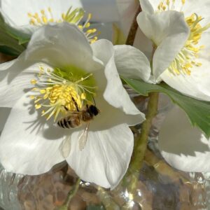 Aktualne novice iz sveta turizma Šaleške doline, 16. februar 2024