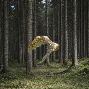 Odprtje razstave »Gold Rush / a lucid daydream«, fotografa Petra Giodanija