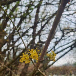 Kam ta teden v Šaleški dolini?