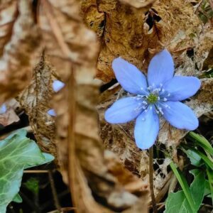 Aktualne novice iz sveta turizma Šaleške doline, 15. marec 2024