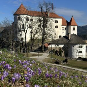 Aktualne novice iz sveta turizma Šaleške doline, 8. marec 2024