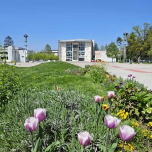 Ali ste vedeli... Dom kulture Velenje