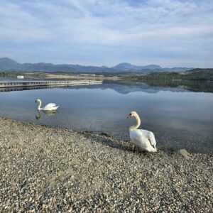 Kam ta teden v Šaleški dolini?