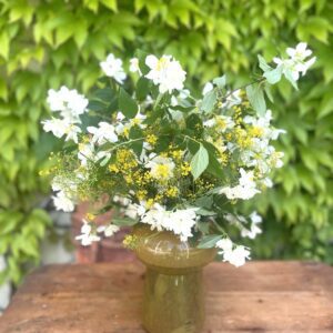 Aktualne novice iz sveta turizma Šaleške doline, 24. maj 2024