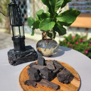 V Velenju gostimo Letni politični dialog premogovnih regij