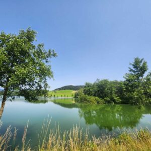 Kam ta teden v Šaleški dolini?