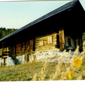 Kam ta teden v Šaleški dolini?