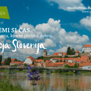 Vabilo na strokovni posvet in razstavni prostor MGTŠ na sejmu MOS 2024