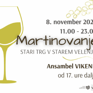 Martinovanje v Starem Velenju