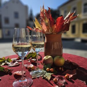 Martinova doživetja v Šaleški