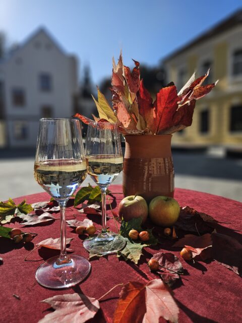 Martinova doživetja v Šaleški