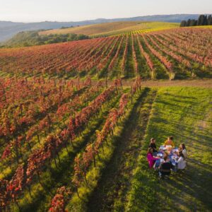 Vabljeni k oddaji turističnih paketov za jesensko in zimsko sezono!
