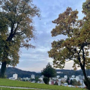 Kam ta teden v Šaleški dolini?