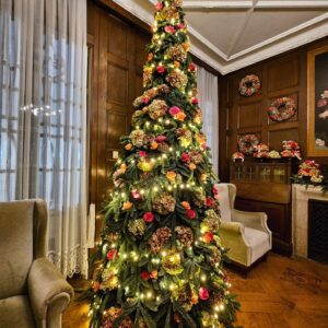 Kam ta vikend v Šaleški dolini?