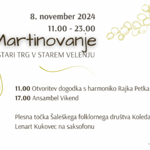 Ponudniki vina in kulinarike na Martinovanju v Starem Velenju