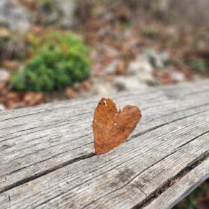 Kam ta teden v Šaleški dolini?