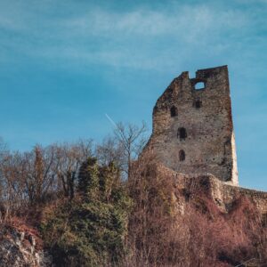 Kam ta teden v Šaleški dolini?