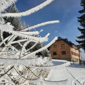 Kam ta teden v Šaleški dolini?