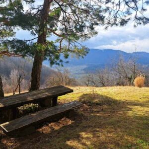 Kam ta teden v Šaleški dolini?