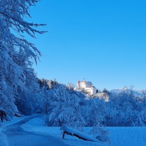 Aktualne novice iz sveta turizma Šaleške doline, 14. februar 2025