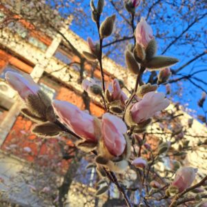 Aktualne novice iz sveta turizma Šaleške doline, 21. marec 2025