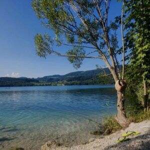 Voda v Velenjskem jezeru je primerna za kopanje - 16. 6. 2025