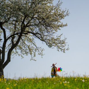 Pikin festival 2025 in posebni družinski paketi