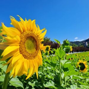 Aktualne novice iz sveta turizma Šaleške, 8. 8. 2025