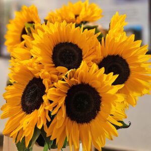 Aktualne novice iz sveta turizma Šaleške, 19. 9. 2025